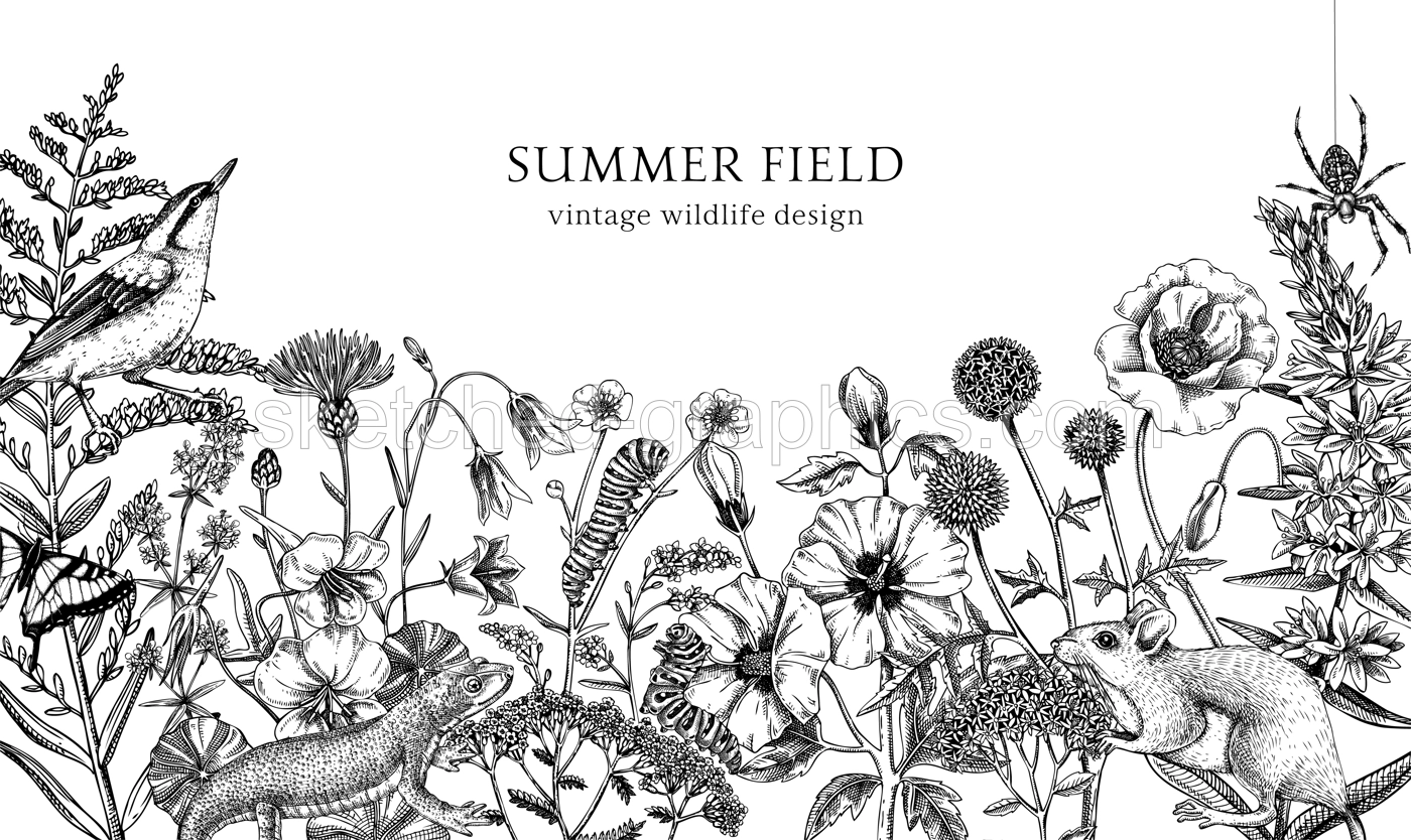 Summer design  in sketched style. Botanical drawings of wildflowers, herbs, meadows, berries, animals and birds. Vintage wildlife hand-drawn illustrations. Field plants isolated on white background  Illustration